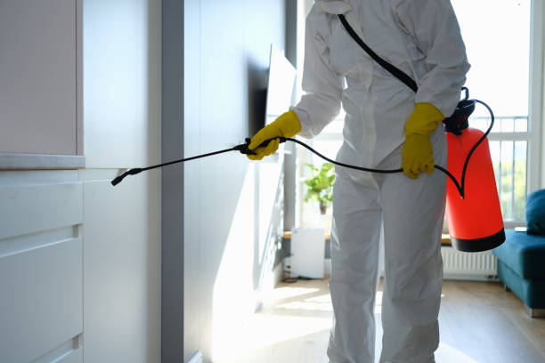 Best Mold Removal Company Near Me  in Dayton, OH