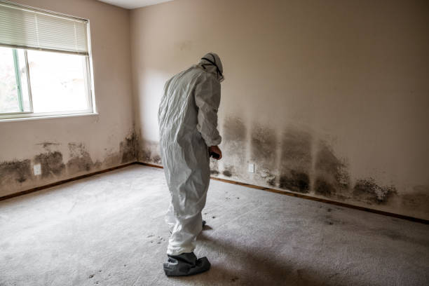 Crawl Space Mold Removal in Dayton, OH